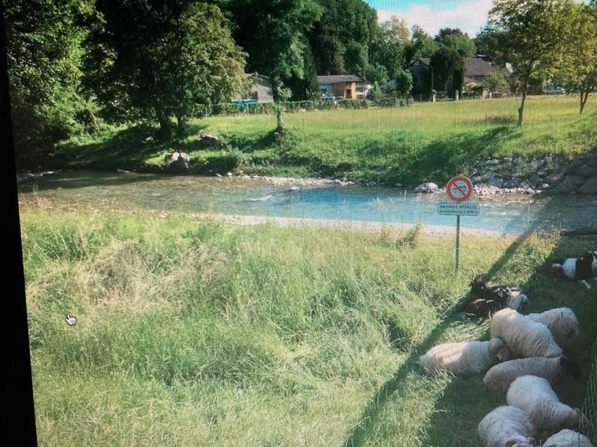 Maison Paisible Au Coeur Des Pyrenees Igon Eksteriør billede